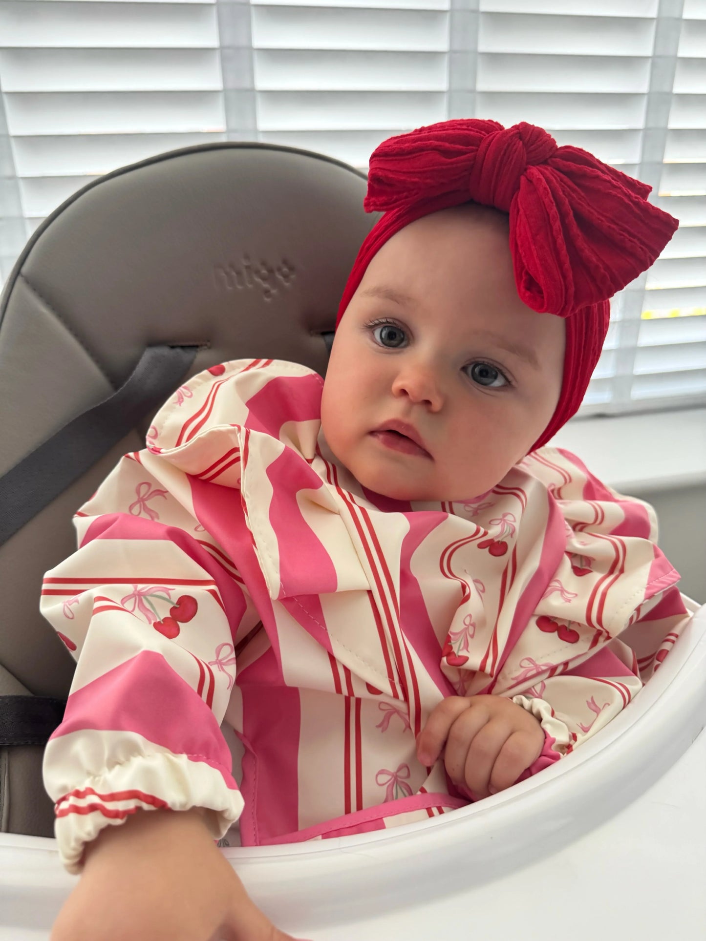 Pink Pinstripe Cherry Pattern Frill Detailed Waterproof Bib with Sleeves