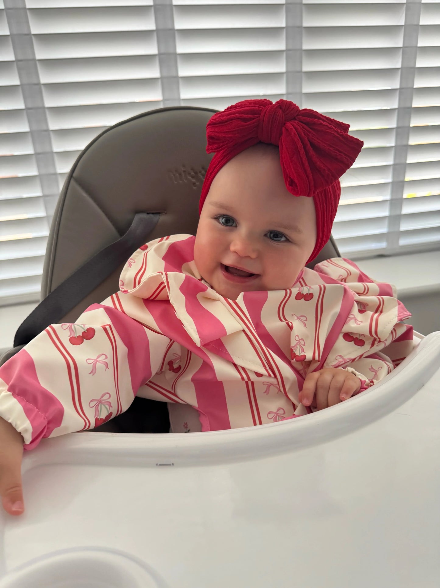Pink Pinstripe Cherry Pattern Frill Detailed Waterproof Bib with Sleeves