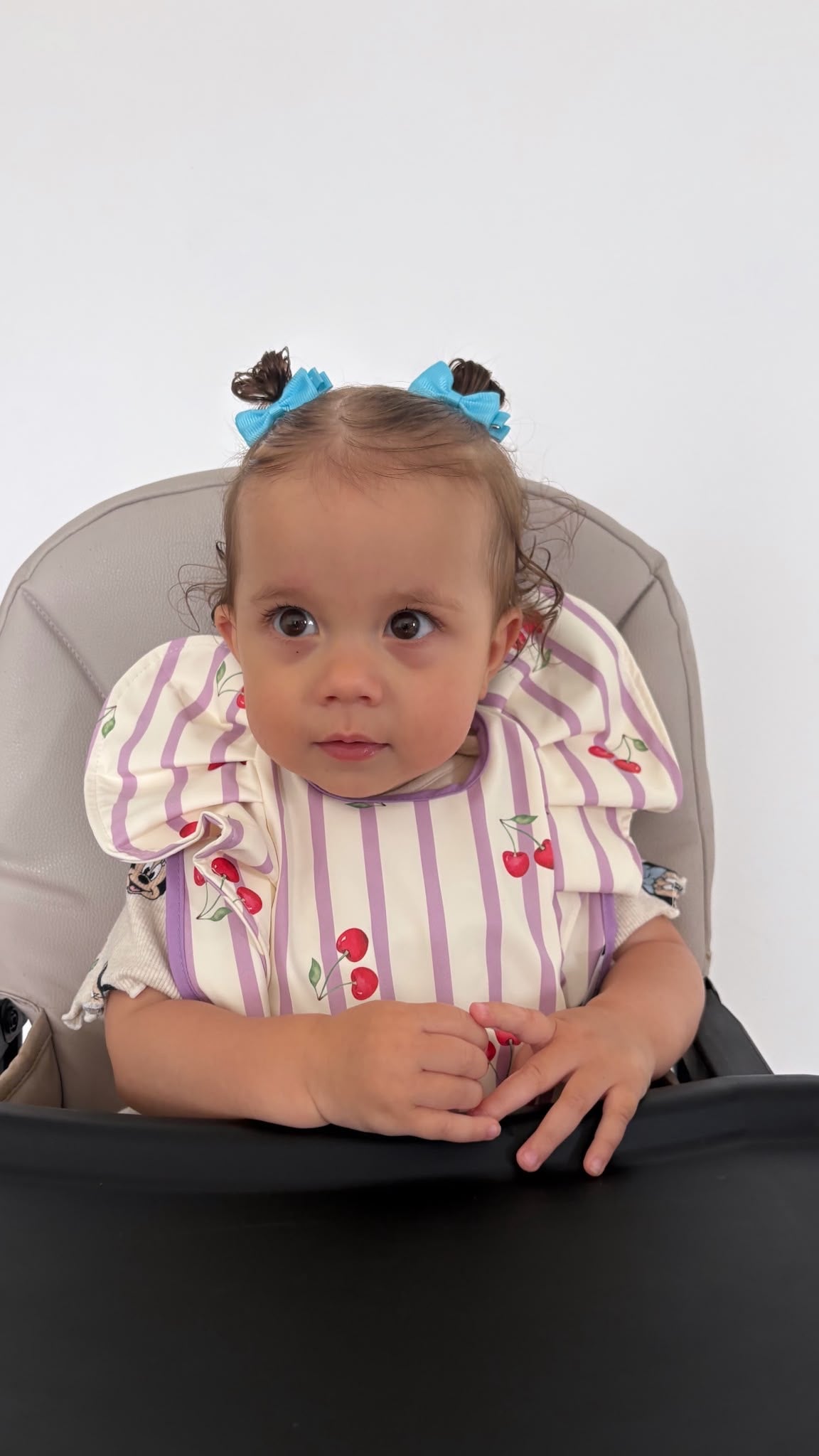 Lilac Pinstripe Cherry Pattern Frill Detailed Waterproof Weaning Bib