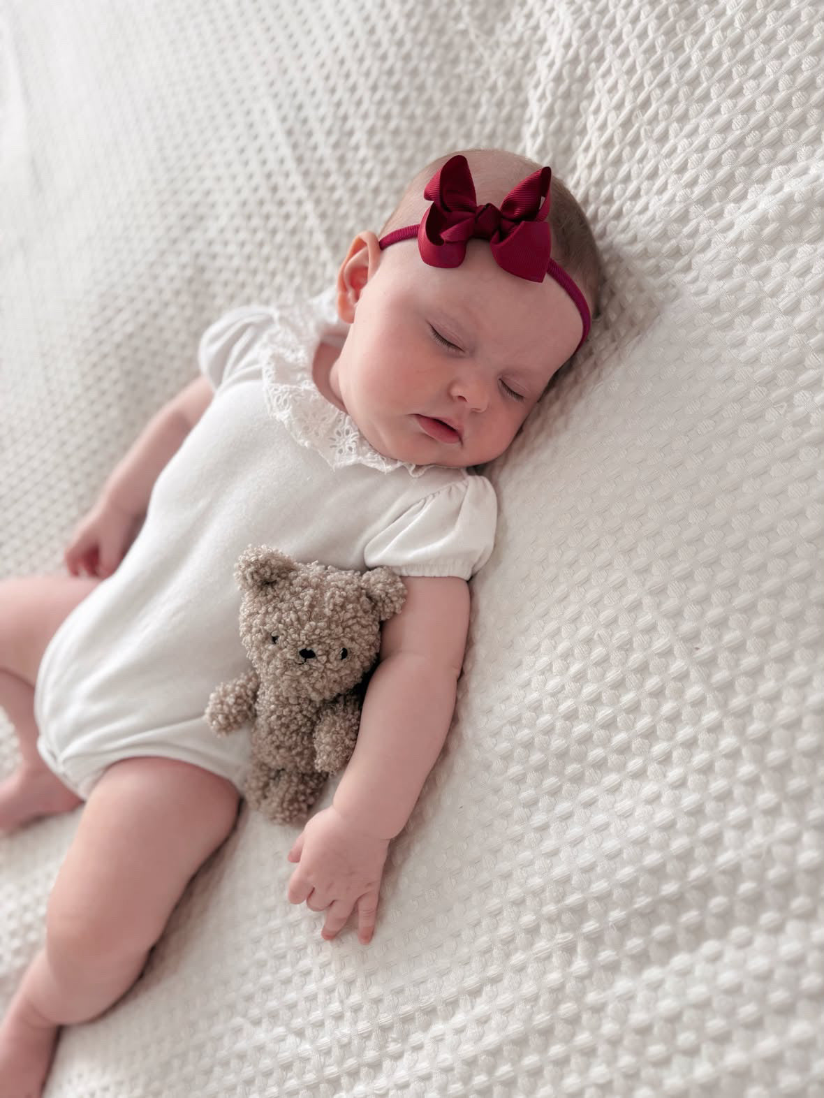 Burgundy 2.5 inch Ribbon Dainty Bow On Headband