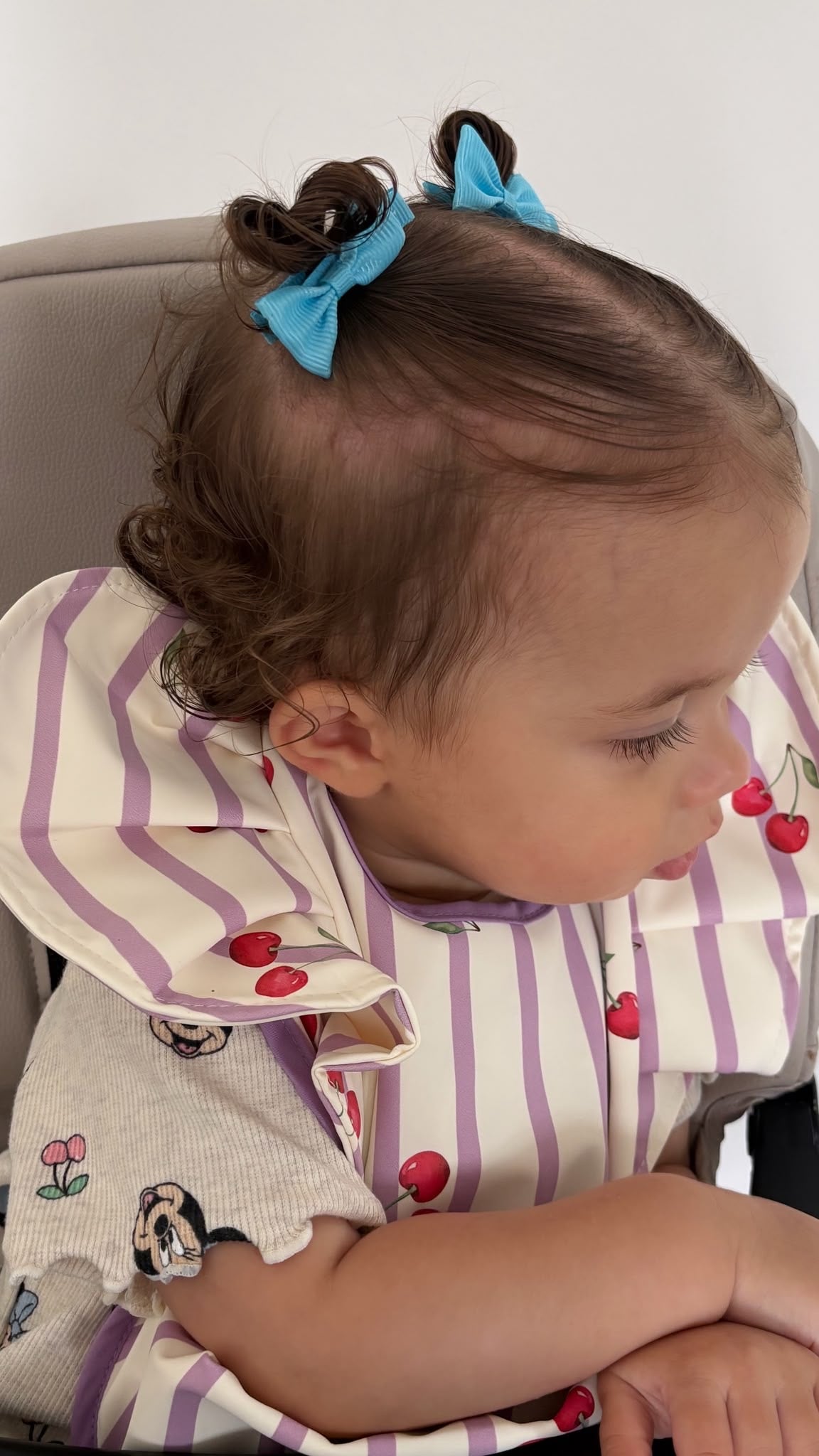 Lilac Pinstripe Cherry Pattern Frill Detailed Waterproof Weaning Bib