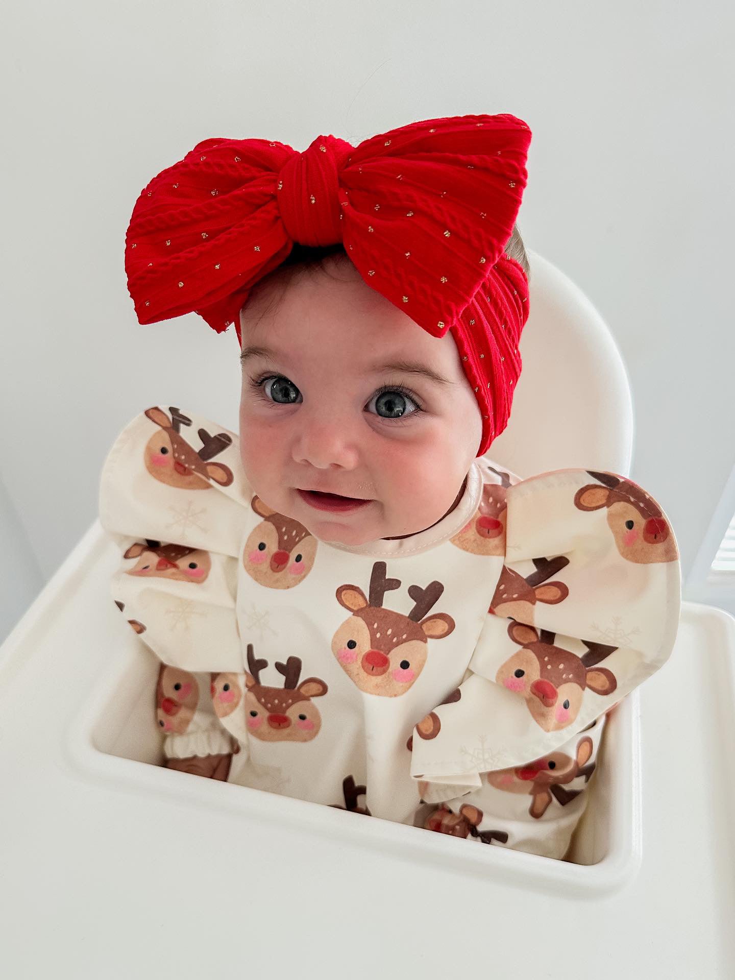 Christmas Reindeer Pattern Frill Detailed Waterproof Bib with Sleeves