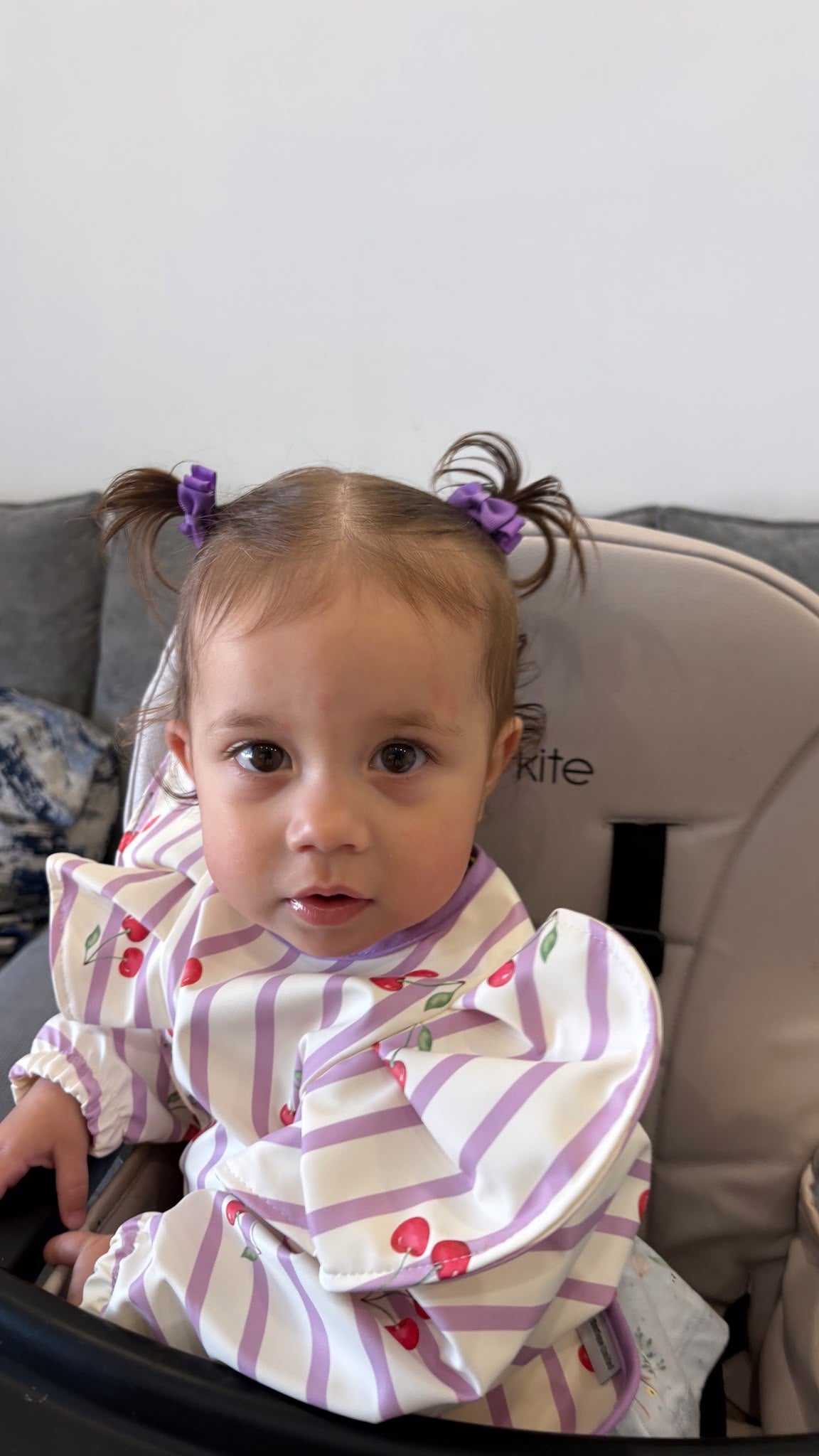 Lilac Pinstripe Cherry Print Frill Detailed Waterproof Weaning Bib with Sleeves