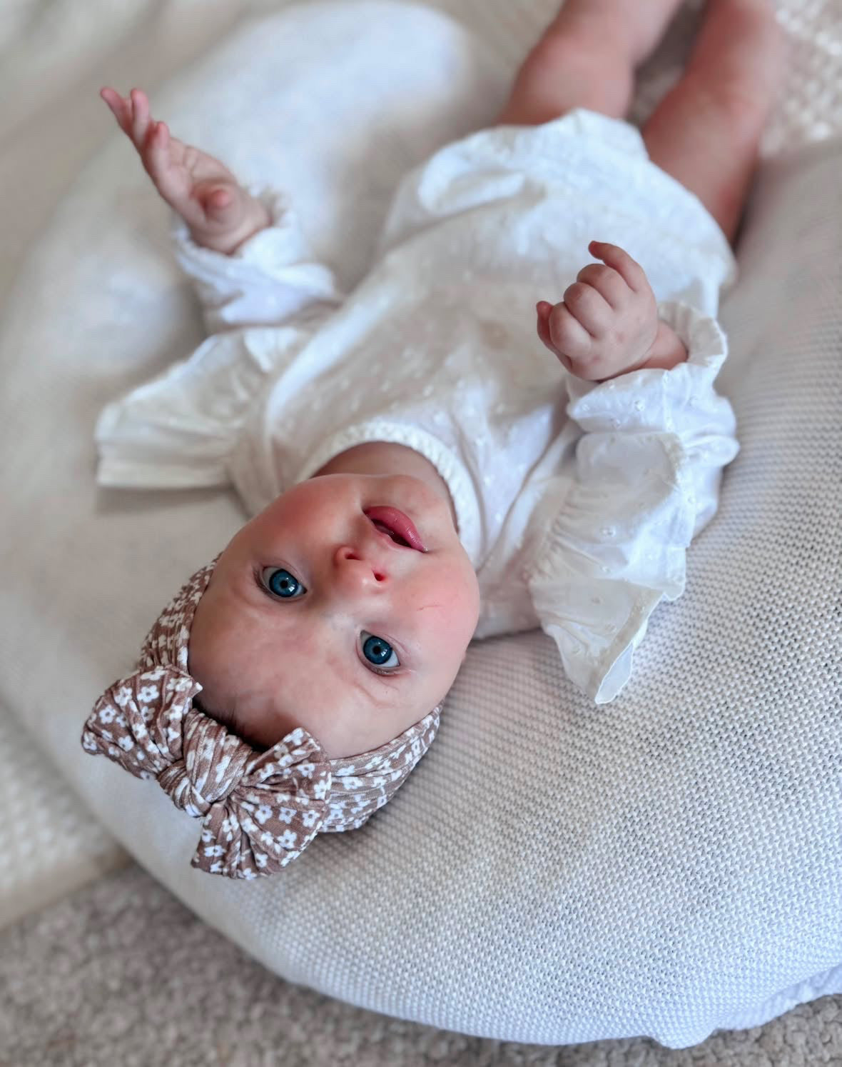 Chocolate Daisy Pattern Smaller Bow Cable Knit Headband