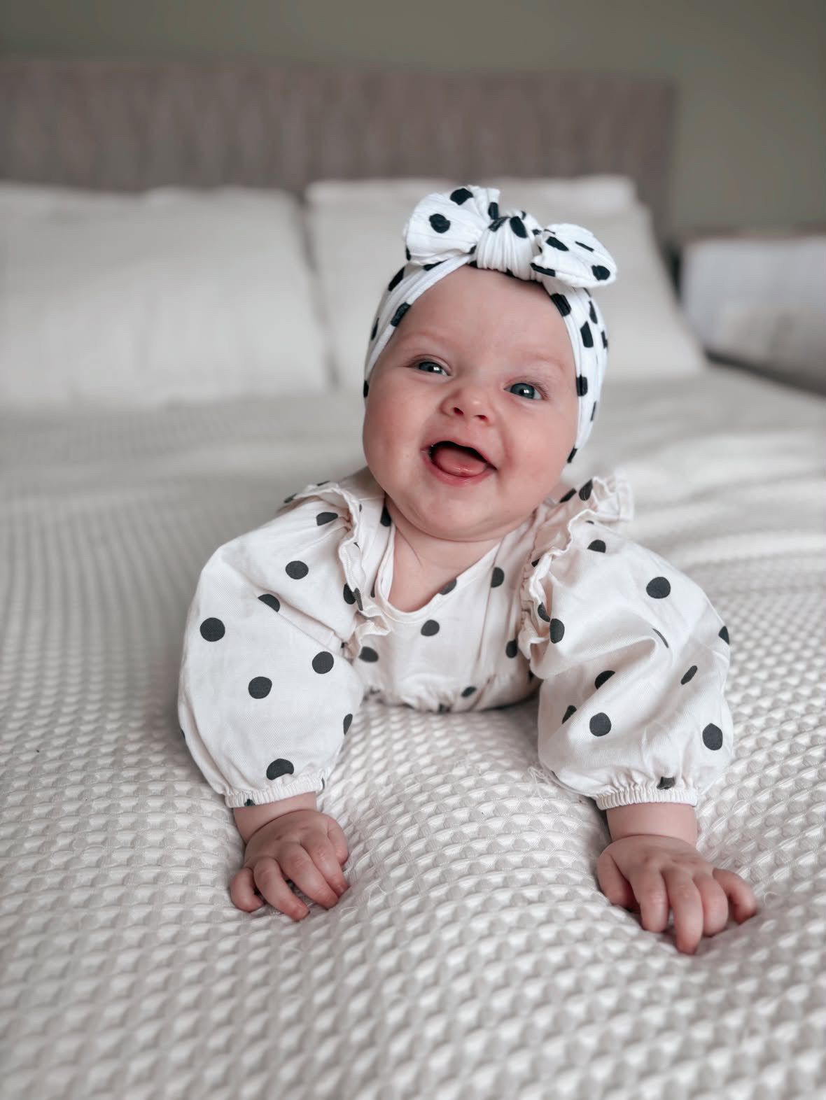 Black Polkadot Pattern Smaller Bow Cable Knit Headband