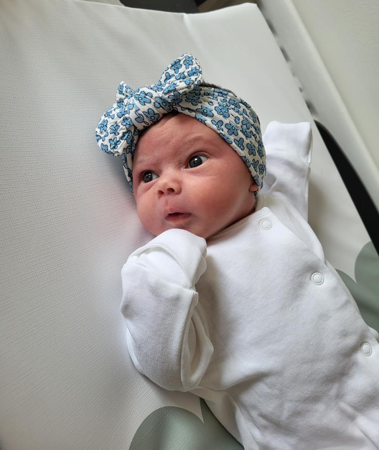 Blue Daisy Smaller Bow Headband For Newborns to Age 3 - Image 3