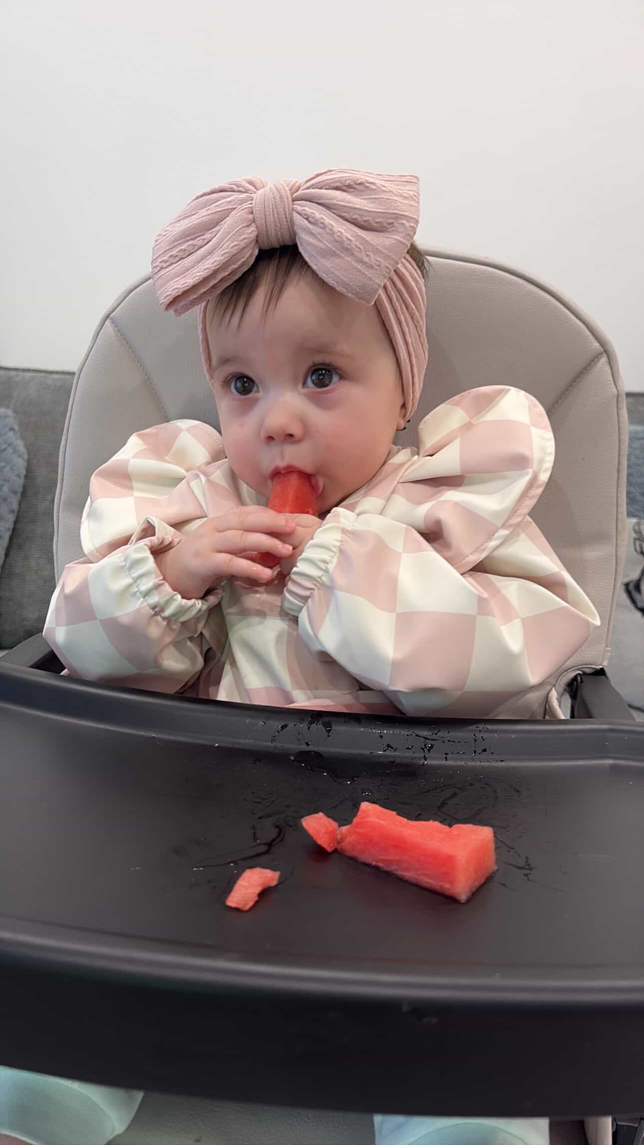 Pink Checkered Waterproof Bib with Sleeves For 6-36 Months - Image 5