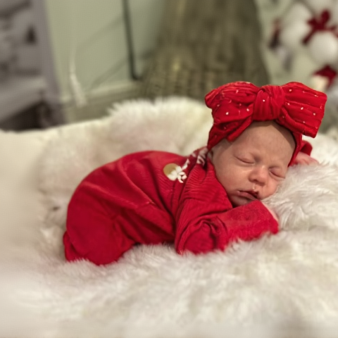 Red Gold Spot Larger Bow Cable Knit Headband - Christmas Collection