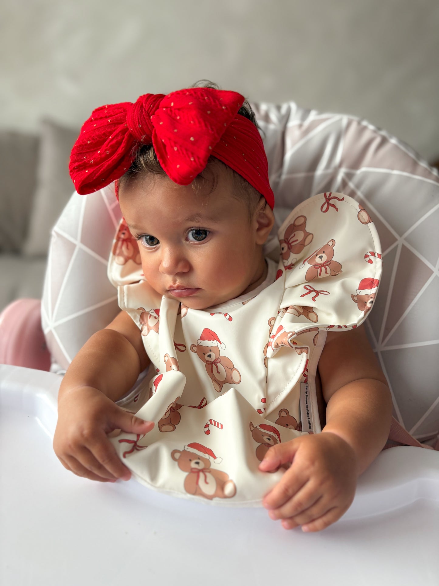 Christmas Teddy Bear Pattern Frill Detailed Waterproof Bib